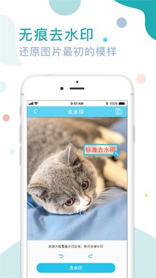 证件照水印专家截图3