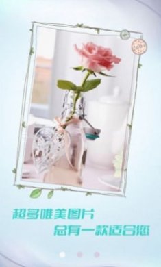 小猪壁纸大全截图1