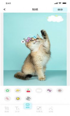 青橘小视频截图2