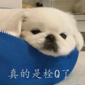 我真的拴q表情包截图2