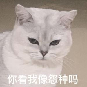 我真的拴q表情包