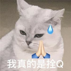 我真的拴q表情包