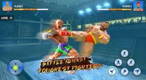 超级英雄空手道战士截图2