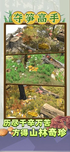 夺笋高手无限金币