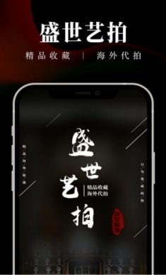 盛世艺拍截图2