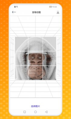 熊猫潮玩艺术截图1