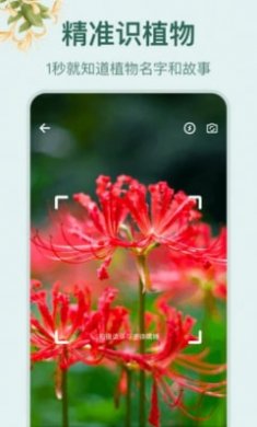 花草百科识别