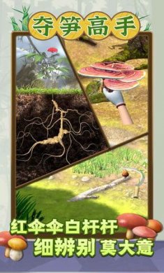 夺笋高手破解版内置修改器截图1