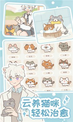 遇见你的猫游戏