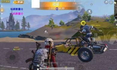 和平精英嘉年华辅助截图1