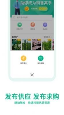 OKOK苗仓截图1