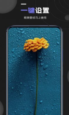 个性壁纸大全截图1