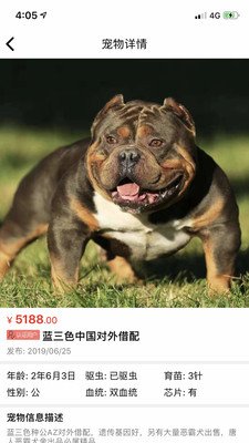 猫行狗市宠物交易市场截图1