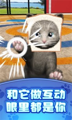 真实模拟宠物截图3