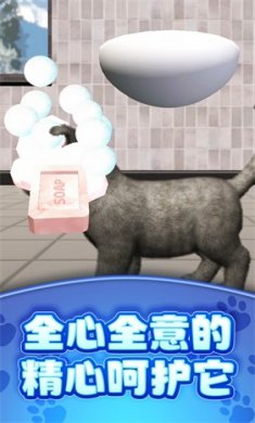 真实模拟宠物