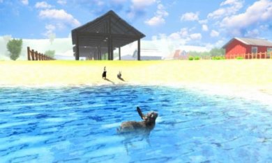 那只兔子(The Rabbit)截图4