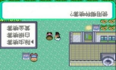 口袋妖怪传说绿宝石1.4内置修改器