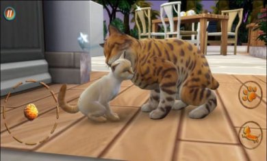 猫咪想恋爱截图2