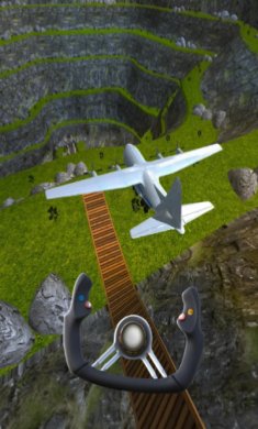 紧急着陆专业版截图1