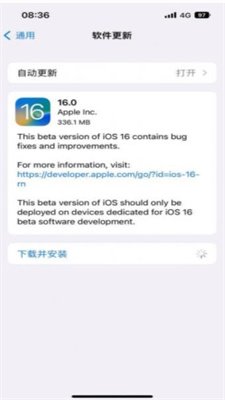 iOS16 Beta8描述文件截图2