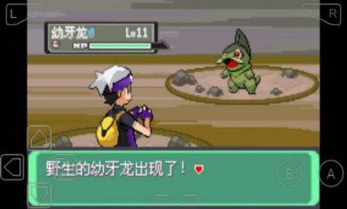 口袋妖怪漆黑的魅影修改器截图1