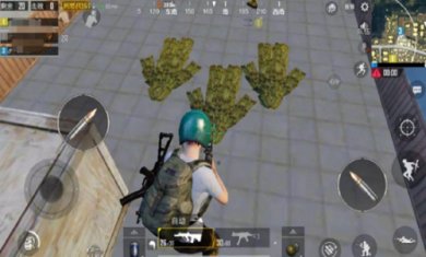 赤羽画质盒任务答案