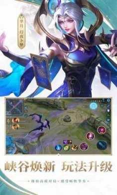 王者荣耀辅助器(免费)透视截图4