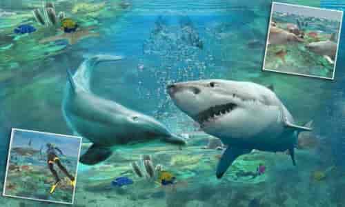 鲨鱼攻击矛钓鱼3D
