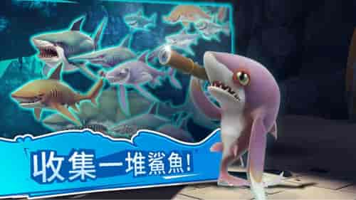 饥饿鲨世界国际版破解版
