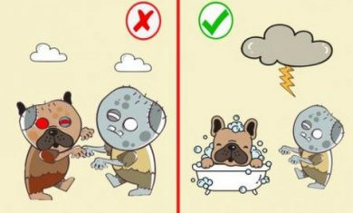 拯救狗狗小游戏截图2