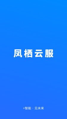 凤栖云服截图1