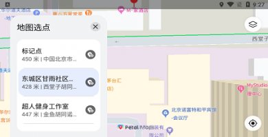 petal地图国内版截图4