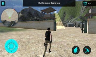 秘密女特工游戏