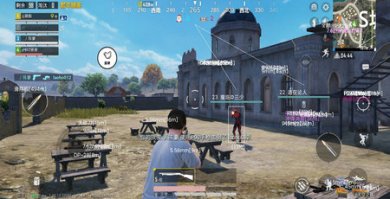 小鸽子和平精英辅助免费截图3