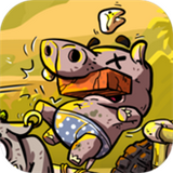 愤怒动物派对游戏