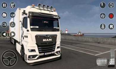 欧元卡车油箱截图2