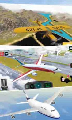 模拟真实飞机飞行截图3