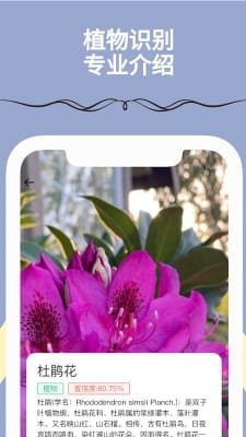 满分扫描王截图3