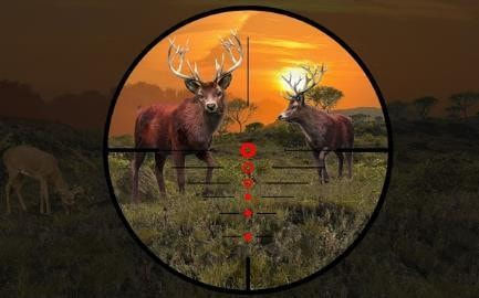 猎鹿野生动物射击(3DWildAnimalHuntGame)截图3