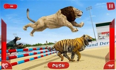 狮子赛跑3d(LionRace3d)截图2