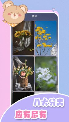 手机屏幕壁纸app