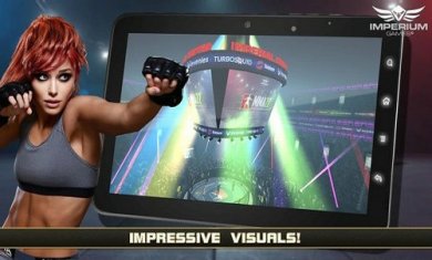 MMA格斗冲突22截图1