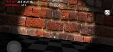 夜间追逐模拟器(NightMaxwellCatSimulator)截图1