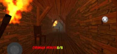 夜间追逐模拟器(NightMaxwellCatSimulator)