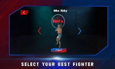 真正的综合格斗截图1