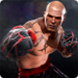 真实拳击2奎迪