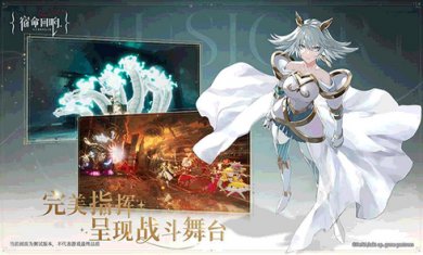 宿命回响国际服