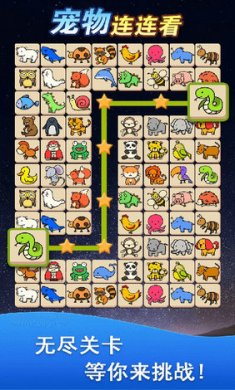 宠物消除大作战截图3