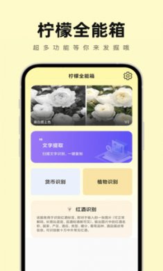 柠檬全能箱截图3