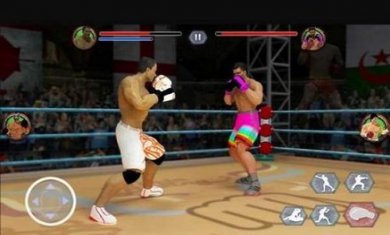 拳击明星赛截图2